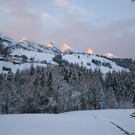 Chalet Chic Вильдхаус Экстерьер фото
