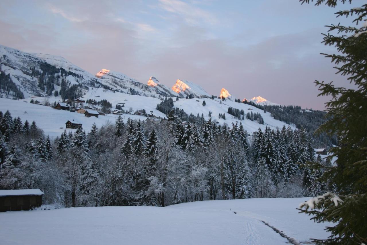 Chalet Chic Вильдхаус Экстерьер фото