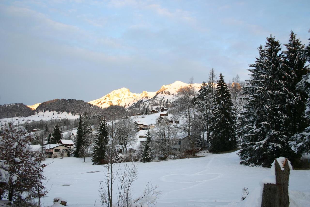 Chalet Chic Вильдхаус Экстерьер фото